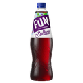 Fun Light Schwarze Johannisbeere 0,8 l